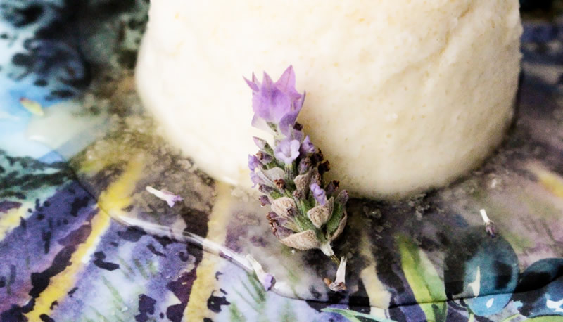 Panna Cotta de LAvanda